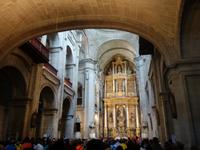 Wanderung auf dem Jakobsweg von Monte do Gozo bis Santiago de Compostela mit Stadtbesichtigung (35)