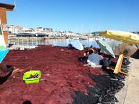 Fakultativer Ausflug mit Wanderung auf der Insel Ons im Nationalpark Illas Atlanticas (3)