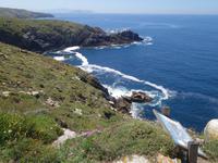 Fakultativer Ausflug mit Wanderung auf der Insel Ons im Nationalpark Illas Atlanticas (18)