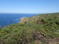 Fakultativer Ausflug mit Wanderung auf der Insel Ons im Nationalpark Illas Atlanticas (25)