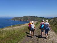 Fakultativer Ausflug mit Wanderung auf der Insel Ons im Nationalpark Illas Atlanticas (30)