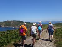 Fakultativer Ausflug mit Wanderung auf der Insel Ons im Nationalpark Illas Atlanticas (31)
