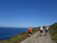 Fakultativer Ausflug mit Wanderung auf der Insel Ons im Nationalpark Illas Atlanticas (33)