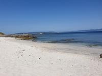 Fakultativer Ausflug mit Wanderung auf der Insel Ons im Nationalpark Illas Atlanticas (47)