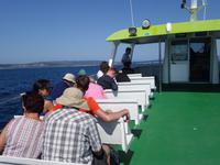 Fakultativer Ausflug mit Wanderung auf der Insel Ons im Nationalpark Illas Atlanticas (1)