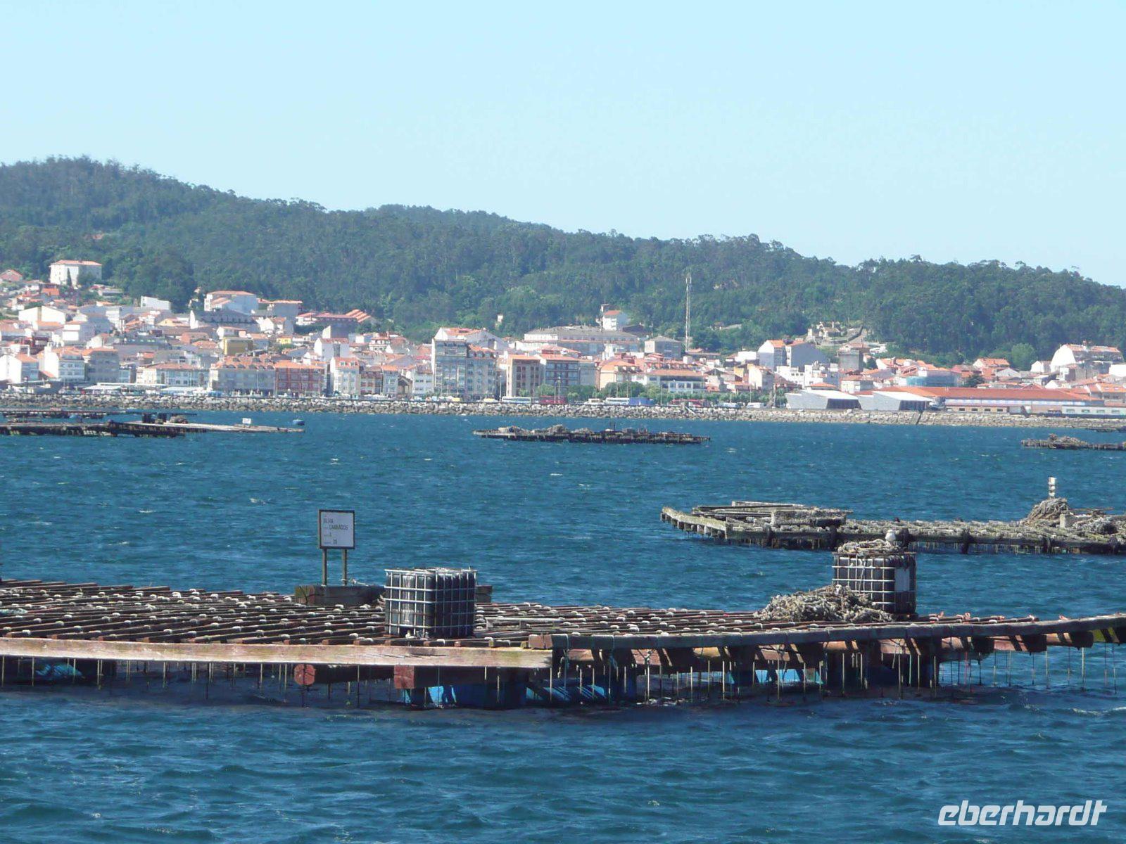 Muschelflöße in der Bucht von Arousa