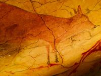 Altamira Höhle, Wandmalereien 