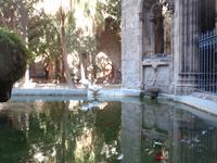 Barcelona, Kathedrale