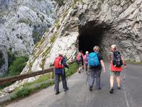 Wanderung auf der Ruta del Cares oder Cares Schlucht im Nationalpark Picos de Europa (16)
