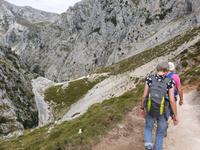 Wanderung auf der Ruta del Cares oder Cares Schlucht im Nationalpark Picos de Europa (27)