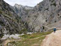 Wanderung auf der Ruta del Cares oder Cares Schlucht im Nationalpark Picos de Europa (30)