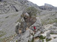 Wanderung auf der Ruta del Cares oder Cares Schlucht im Nationalpark Picos de Europa (35)