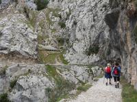 Wanderung auf der Ruta del Cares oder Cares Schlucht im Nationalpark Picos de Europa (38)