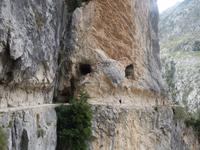 Wanderung auf der Ruta del Cares oder Cares Schlucht im Nationalpark Picos de Europa (40)