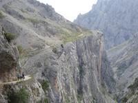 Wanderung auf der Ruta del Cares oder Cares Schlucht im Nationalpark Picos de Europa (52)