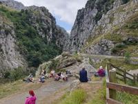 Wanderung auf der Ruta del Cares oder Cares Schlucht im Nationalpark Picos de Europa (57)