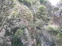 Wanderung auf der Ruta del Cares oder Cares Schlucht im Nationalpark Picos de Europa (65)
