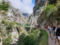 Wanderung auf der Ruta del Cares oder Cares Schlucht im Nationalpark Picos de Europa (67)