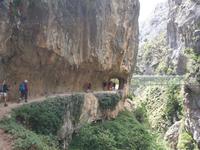 Wanderung auf der Ruta del Cares oder Cares Schlucht im Nationalpark Picos de Europa (69)