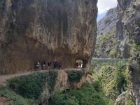 Wanderung auf der Ruta del Cares oder Cares Schlucht im Nationalpark Picos de Europa (70)