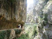 Wanderung auf der Ruta del Cares oder Cares Schlucht im Nationalpark Picos de Europa (73)