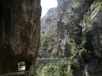 Wanderung auf der Ruta del Cares oder Cares Schlucht im Nationalpark Picos de Europa (75)