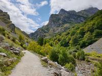 Wanderung auf der Ruta del Cares oder Cares Schlucht im Nationalpark Picos de Europa (84)