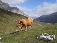 Wanderung im Nationalpark Picos de Europa - den spanischen Alpen (34)