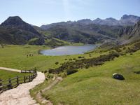 Wanderung bei den Covadonga-Seen in Picos de Europa (16)