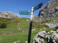 Wanderung bei den Covadonga-Seen in Picos de Europa (28)