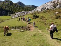 Wanderung bei den Covadonga-Seen in Picos de Europa (29)
