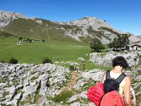 Wanderung bei den Covadonga-Seen in Picos de Europa (32)