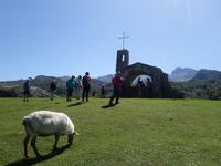 Wanderung bei den Covadonga-Seen in Picos de Europa (35)