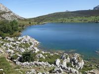 Wanderung bei den Covadonga-Seen in Picos de Europa (48)