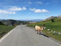 Wanderung bei den Covadonga-Seen in Picos de Europa (1)