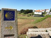 Wanderung auf dem Jakobsweg von Arzua nach Arca (2)