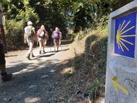 Wanderung auf dem Jakobsweg von Arzua nach Arca (3)