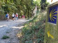 Wanderung auf dem Jakobsweg von Arzua nach Arca (4)