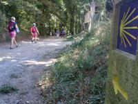 Wanderung auf dem Jakobsweg von Arzua nach Arca (8)