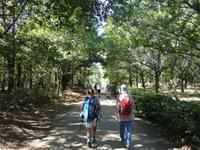 Wanderung auf dem Jakobsweg von Arzua nach Arca (12)