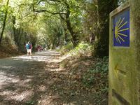 Wanderung auf dem Jakobsweg von Arzua nach Arca (13)