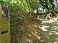 Wanderung auf dem Jakobsweg von Arzua nach Arca (15)