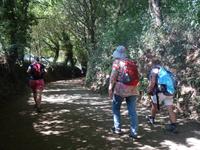 Wanderung auf dem Jakobsweg von Arzua nach Arca (18)