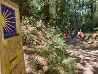 Wanderung auf dem Jakobsweg von Arzua nach Arca (19)