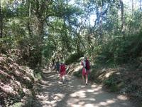 Wanderung auf dem Jakobsweg von Arzua nach Arca (20)