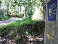 Wanderung auf dem Jakobsweg von Arzua nach Arca (22)