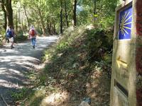 Wanderung auf dem Jakobsweg von Arzua nach Arca (24)