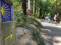 Wanderung auf dem Jakobsweg von Arzua nach Arca (25)