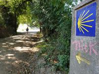 Wanderung auf dem Jakobsweg von Arzua nach Arca (26)