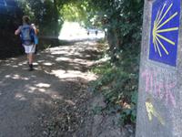 Wanderung auf dem Jakobsweg von Arzua nach Arca (27)